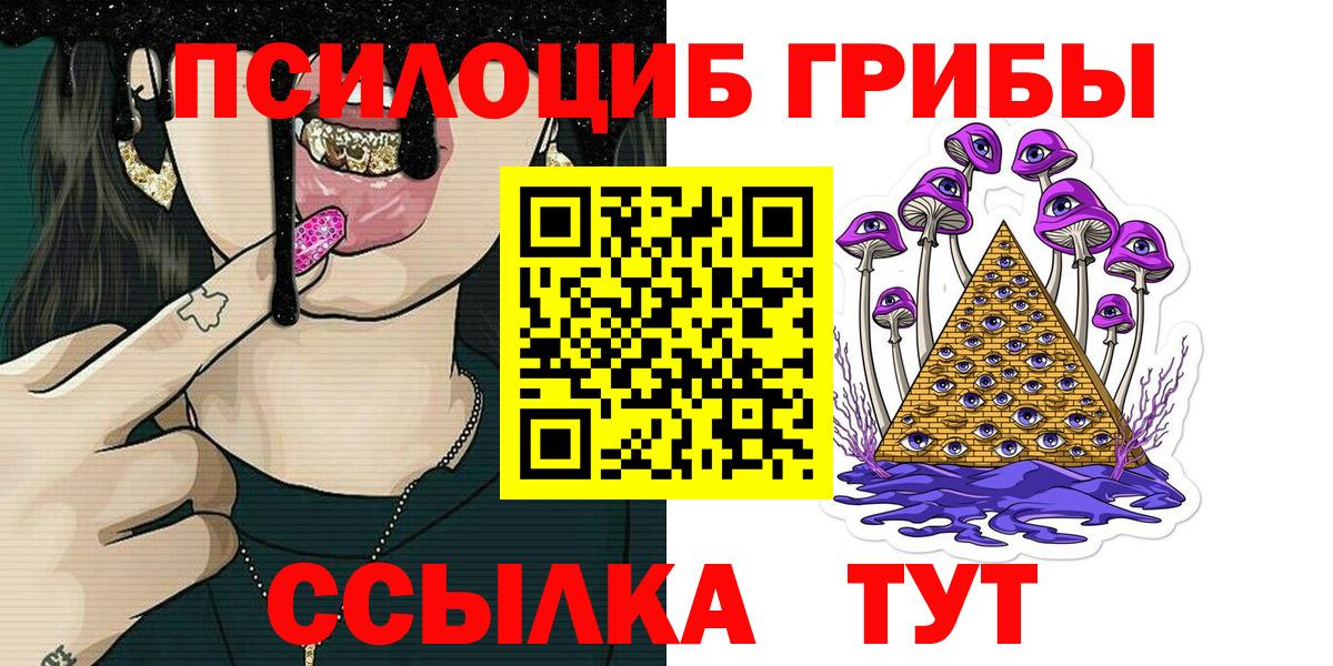 Псилоцибиновые грибы GOLDEN TEACHER Шатура